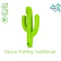 ยางกัด Pepper's Home รุ่น Cactus Training Toothbrush