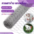 ลวดตาข่ายหกเหลี่ยม ขนาด0.9x30m 3/4นิ้ว 1/2นิ้ว 3/8นิ้ว ตาข่ายกรงไก่ กรงนก ตะแกรงรั้ว ตาข่ายถัก ป้องกันงูหนูHexagonal Wire Net