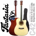 Fantasia C42 กีต้าร์โปร่ง 41 นิ้ว ทรง Dreadnought คอเว้า ไม้สปรูซ/ลินเดน เคลือบเงา ** กีตาร์โปร่งมือใหม่ ** + แถมฟรีกระเ