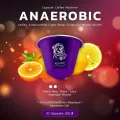 กาแฟแคปซูล Agape  Anaerobic 10 Capsule