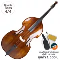 Fitness Double Bass ดับเบิ้ลเบส 4/4 ไม้โรสวู้ด รุ่น MB040R + แถมฟรีกระเป๋า & คันชัก & ยางสน