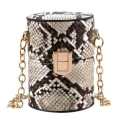 Mini Cyder Sd Oulder Mesger Handbags For Women Ins Snae Print Pu Chain Crossbody Bags With The Bucet Ning Siste