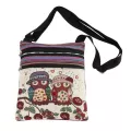 Vintage Chinese Nation Style Ethnic Oulder Bag Women Mini Handbag Owl Diagon Brdery Tote Lady Mesger Bagp30