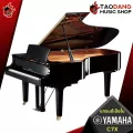 [กทม.&ปริมณฑล ส่งGrabด่วน] เเกรนด์เปียโน Yamaha C7X สี Polished Ebony[ฟรีของแถม][พร้อมเช็คQC][ประกันจากศูนย์][แท้100%][ส่งฟรี]เต่าแดง