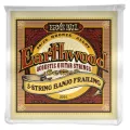 ERNIE BALL® สายแบนโจ 5 สาย Frailing แบบ 80/20 Bronze ของแท้ 100% รุ่น Earthwood 5-String Banjo Frailing .010 - .024 /  P02061 ** Made in USA **