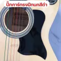 ปิ๊กการ์ดกีตาร์โปร่งguitar pick guardกันรอยขีดข่วน มีกาวสองหน้าในตัว เพิ่มความสวยงาม ติดตั้งง่าย