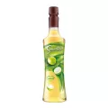 Senorita Coconut Flavoured Syrup  น้ำเชื่อมแต่งกลิ่นมะพร้าวน้ำหอม 750ml