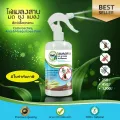 ไล่แมลงสาบ มด ยุง 450 มล. Mosquito & Insect-Free  B and K Natural