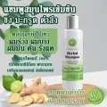 แชมพูบำรุงผมร่วงสูตรขิง มะกรูด บัวบก ตำลึง แชมพูสมุนไพร บำรุงผมแข็งแรง เพื่อ บำรุงผมร่วง บำรุงผมบาง บำรุงผมยาว บำรุงผมแห้งเสีย ผมขาดการบำรุง WISH HERB