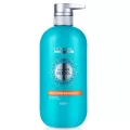 loreal hair spa deep nourishing shampoo + loreal hair spa detoxifying shampoo 600 ml