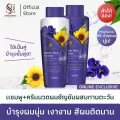 สบันงา เฮอเบิล ชุดเเชมพู+ครีมนวดผมอัญชันทานตะวัน ผมเงางาม นุ่มสวย | Sabunnga Herbal Butterfly Pea & Sunflower Shampoo & Conditioner Set