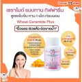 wheat ceramide plus giffarine วีท เซราไมด์ พลัส กิฟฟารีน ผิวแห้งคัน ผื่นแพ้ สะเก็ดเงิน ริ้วรอย อาหารผิว ผิวขาดน้ำ