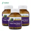 Grape Seed Extract x 3 ขวด เกรฟซีด สารสกัดเม็ดองุ่น โมริคามิ บำรุงผิว ผิวใส ผิวเนียนใส Morikami Laboratories
