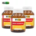 สารสกัดจากเห็ดหลินจือ x 3 ขวด ไบโอแคป Reishi Mushroom Extract Biocap เห็ดหลินจือ