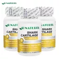 กระดูกอ่อนปลาฉลาม x 3 ขวด คอลลาเจน ไทพ์ ทู โอเนทิเรล Shark Cartilage Collagen Type II AU NATUREL คอลลาเจนไทพ์ทู Collagen Type 2 ปวดข้อ ปวดเข่า