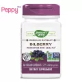 Nature's Way Bilberry 60 Vegan Capsules บิลเบอร์รี่ บำรุงสายตา 60 วีแกนแคปซูล