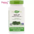 Nature's Way Kelp Whole Thallus 600 mg 180 Vegan Capsules สาหร่ายเคล์ป