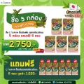 6 กล่อง แถม 1 กล่อง  Charnn  Plant based Protein Matcha โปรตีนพืช มาตรฐานระดับโลก สูตรคลีน  รสเข้มข้นจากมัทฉะแท้