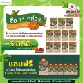 11 กล่อง แถม 1 กล่อง 6 ซอง Charnn  Plant based Protein Matcha โปรตีนพืช มาตรฐานระดับโลก สูตรคลีน  รสเข้มข้นจากมัทฉะแท้