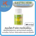 แกสตราเฮิร์บ กิฟฟารีน กรดไหลย้อน 60 แคปซูล แผลในกระเพาะ แก๊สตราเฮิร์บ แก๊สต้าเฮิบ แกสตราเฮิร์บกิฟฟารีน