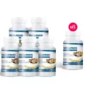 BENJA OIL SECURMIN เบญจออยล์ ซีเคอร์มิน อาหารเสริมบำรุงข้อเข่า 5 กระปุก แถม 1 กระปุก