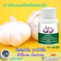 กระเทียม Garlic โรคหลอดเลือด คลอเรสเตอรอล ไตรกลีเซอไลน์