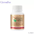 Phytosterol Capsule ผลิตภัณฑ์เสริมอาหาร ไฟโตสเตอรอล ลดคอเลสเตอรอลชนิดเลว LDL ป้องกันการเกิดโรคหัวใจ ช่วยเรื่องความดัน