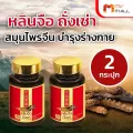 ตังถั่งเช่าจากฑิเบต ตรา หลินจือถั่งเช่า MVmall