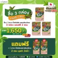 3 กล่อง แถม 2 ซอง Charnn  Plant based Protein Matcha โปรตีนพืช มาตรฐานระดับโลก สูตรคลีน  รสเข้มข้นจากมัทฉะแท้