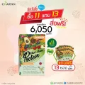 แพ็ค 11 กล่องแถม 13 ซอง Charnn Plant based Protein ฌาน อาหารเสริม โปรตีนจากพืช 100% นมวัวถั่วเหลืองคอเลสเตอรอลไขมัน