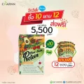 แพ็ค 10 กล่องแถม 12 ซอง Charnn Plant based Protein ฌาน อาหารเสริม โปรตีนจากพืช 100% นมวัวถั่วเหลืองคอเลสเตอรอลไขมัน