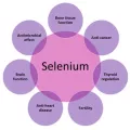 ซีลีเนียม Selenium 200 mcg 100 Tablets Nature's Bounty®