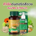 สมุนไพร เพชรสังฆาต + สเปรย์ริดสีดวง ทาน-ฉีด สมุนไพรบรรเทาอาการริดสีดวง ริดสีดวงทวาร ฝีคัณฑสูตร