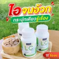 1 กระปุก ส่งฟรี ส่งไว !! LC ดีท็อกปอด ภูมิแพ้ ไอจามเรื้อรัง บำรุงและฟื้นฟูปอด ป้องกันการเกิดมะเร็งปอดได้ 30 แคปซูล