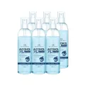 สเปรย์แอลกอฮอล์  75% 100 ml 6 ชิ้น