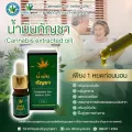 น้ำมันกัญชา  Cannabis extracted oil ผลิตภัณฑ์น้ำมันกัญชาดูแลสุขภาพ