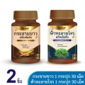 Mc.plus Finger root อาหารเสริมกระชายขาว 1 กระปุก ขนาด 30 แคปซูล แถมฟรี ฟ้าทะลายโจร 30 แคปซูล