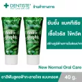 แพ็ค 2 Dentiste' ยาสีฟันสูตรฟ้าทะลายโจร ขนาด 40 กรัมAndrographis Paniculata Tube ต้านไวรัส/แบคทีเรีย หลอด เดนทิสเต้
