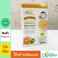 Xongdur - โจ๊กข้าวกล้องงอก ผสมผักโขมและฟักทอง 80 กรัม  ซองเดอร์ อาหารเสริม ขนมเด็ก 10 เดือน