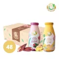 Milk Plus & More น้ำหัวปลี คละ2รส 48 ขวด ดั้งเดิม+ขิง เพิ่มน้ำนม บำรุงครรภ์