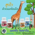 แคลซีน  Calcine แคลเซียมเด็กอร่อย กระปุ๊ก  100 เม็ด มีรสนม ช็อคโกแลต สตอเบอรี่ ส้ม ทุเรียน