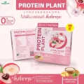PROTEIN PLANT สูตร 1 โปรตีนแพลนท์ รสลิ้นจี่ ซากุระ โปรตีนจากพืช 3 ชนิด โปรตีนจากข้าว ถั่วลันเตา มันฝรั่ง ปรุงสำเร็จชนิดผง 1 กล่อง 7 ซอง 350 กรัม