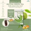 PROTEIN PLANT โปรตีนพืช สูตร 2 รสมัทฉะ ชาเขียว โปรตีนจากข้าว ถั่วลันเตา เมล็ดทานตะวัน ฝักทอง และมันฝรั่ง แถมฟรีไข่มุก  1 กล่อง บรรจุ 7 ซอง