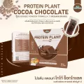 PROTEIN PLANT โปรตีนพืช สูตร 2 รสโกโก้ ช็อกโกแลต โปรตีนจากข้าว ถั่วลันเตา เมล็ดทานตะวัน ฝักทอง และมันฝรั่ง แถมฟรีไข่มุก  1 กล่อง บรรจุ 7 ซอง