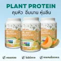 3 กระปุก VERTECH NUTRITION โปรตีนพืช Plant Protein Superfoods & Greens วีแกน ผักผลไม้ ไฟเบอร์  ลดน้ำหนัก