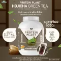 PROTEIN PLANT โปรตีนพืช สูตร 2 รสโฮจิฉะ ชาเขียว โปรตีนจากพืช 5 ชนิด ออเเกรนิค แถมฟรีไข่มุกบุก 56 ซอง  ขนาด 1 กระปุก ปริมาณ 2.27 kg.