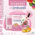 PROTEIN PLANT โปรตีนพืช สูตร 2 รสมิกซ์ เบอร์รี่ โปรตีนจากข้าว ถั่วลันเตา เมล็ดทานตะวัน ฝักทอง และมันฝรั่ง แถมฟรีไข่มุก  1 กล่อง บรรจุ 7 ซอง
