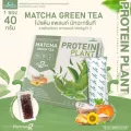 PROTEIN PLANT สูตร 2 โปรตีนแพลนท์ 8 รสชาติ โปรตีนพืช 5 ชนิด ออแกรนิค โปรตีนจากข้าว ถั่วลันเตา เม็ดทานตะวัน ฝักทอง มันฝรั่ง ฟรีไข่มุก 1 กล่อง 7 ซอง