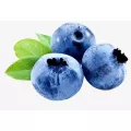 Blueberry (125G/Pack)