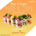 Buy 9 Cups Get FREE 6 Cups ฟรี จัดส่งทั่วประเทศ